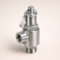 Предохранительный клапан ВР/ВР AISI 304 DN 32