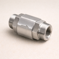 Обратный клапан S-S AISI 304 2 1/2"